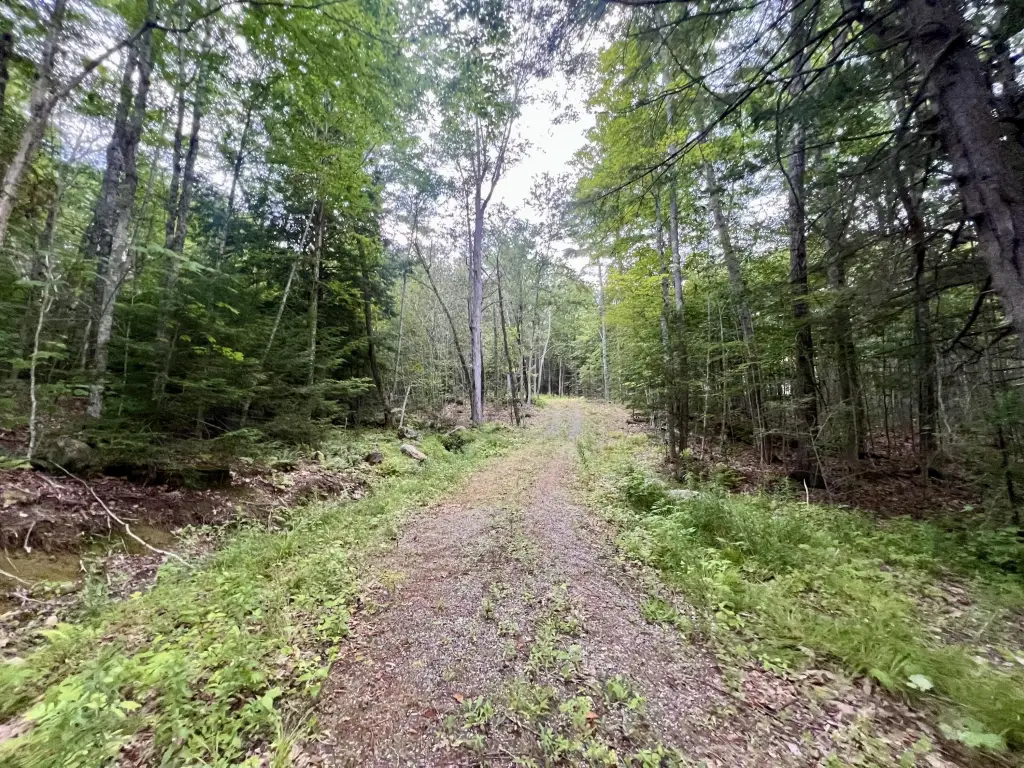 Picture 20