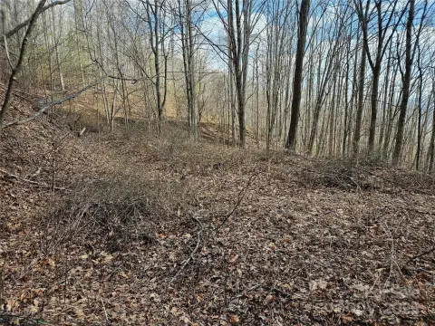 Land with Mountain Views