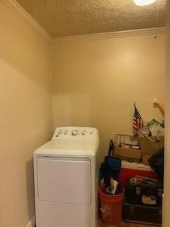 Picture 23