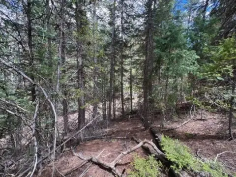 Bryce Canyon Treed Lot