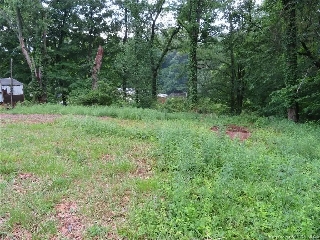 Picture 2