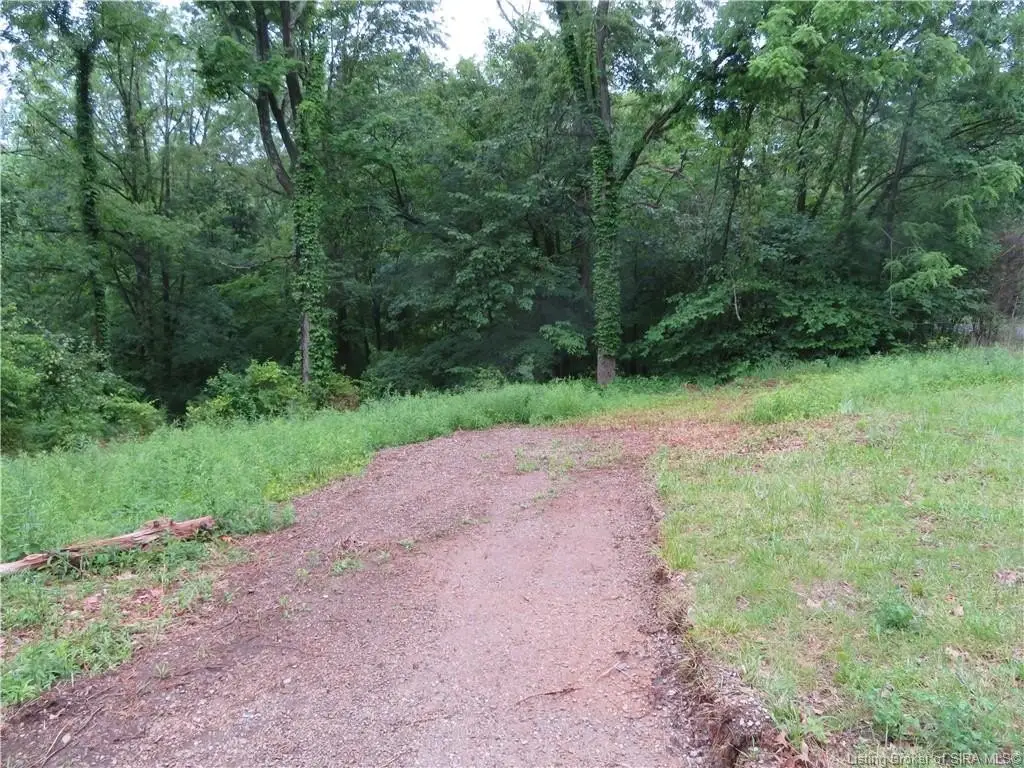 Picture 5