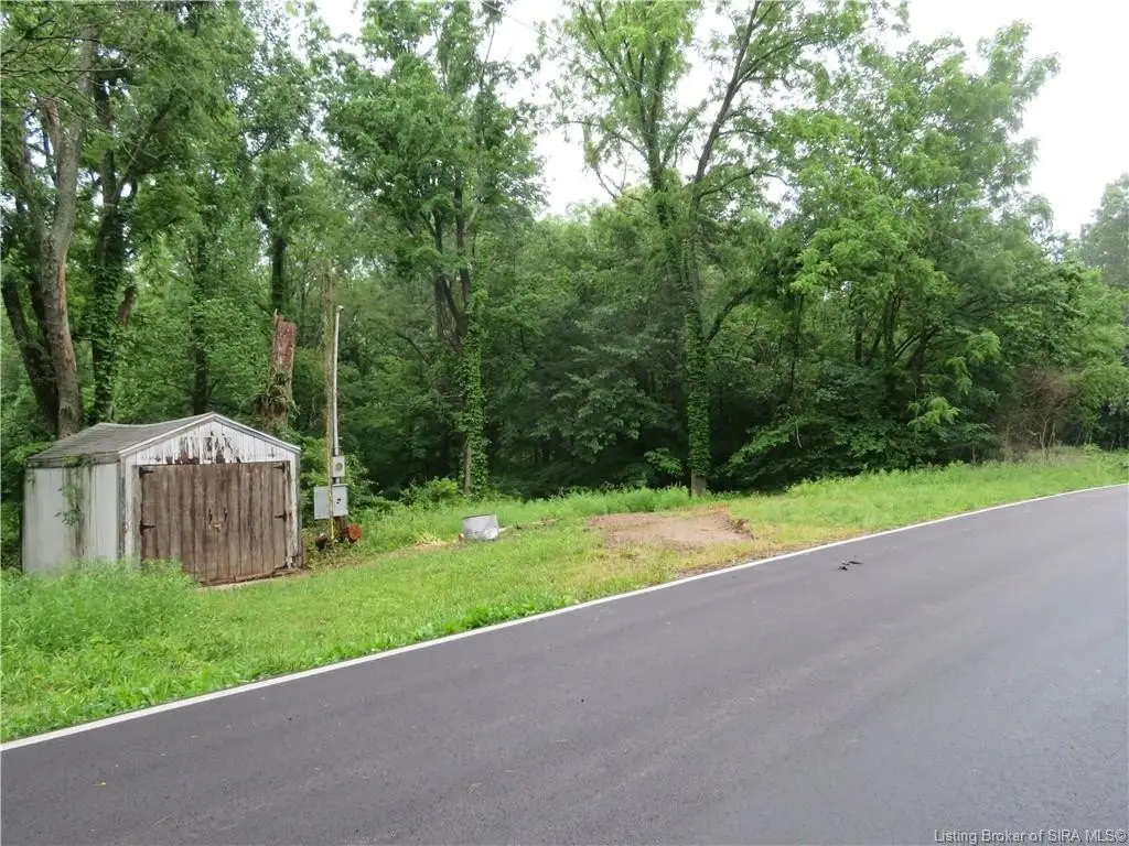 Picture 6