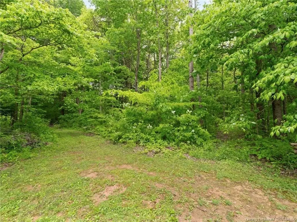 Picture 5