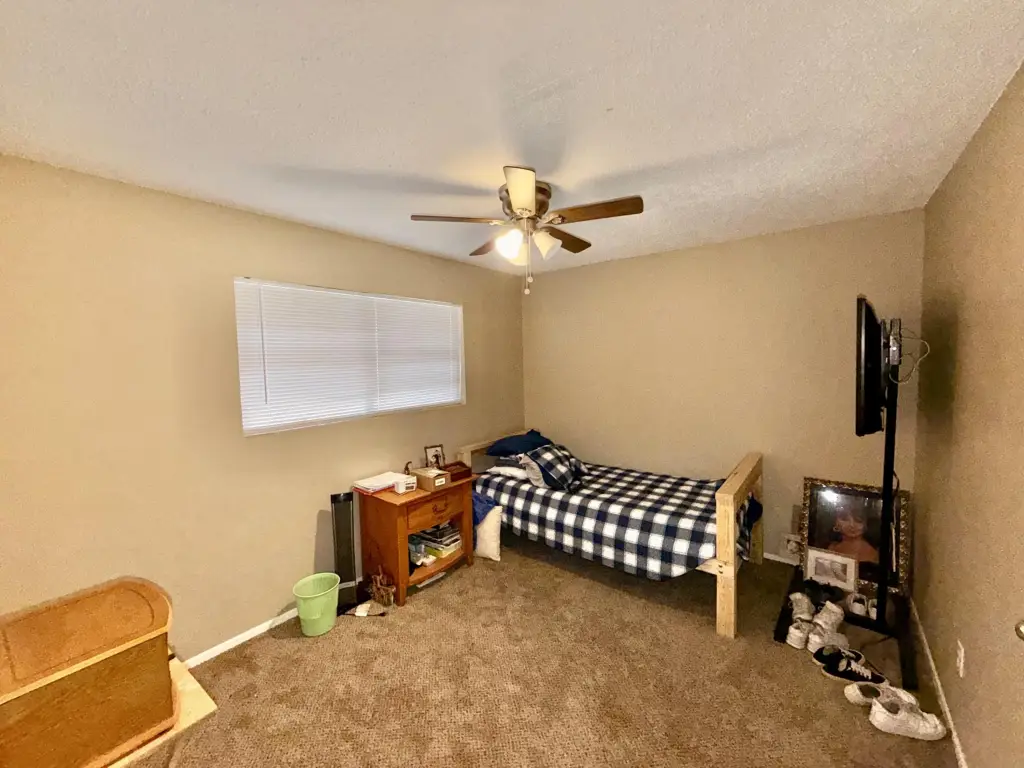 Picture 7