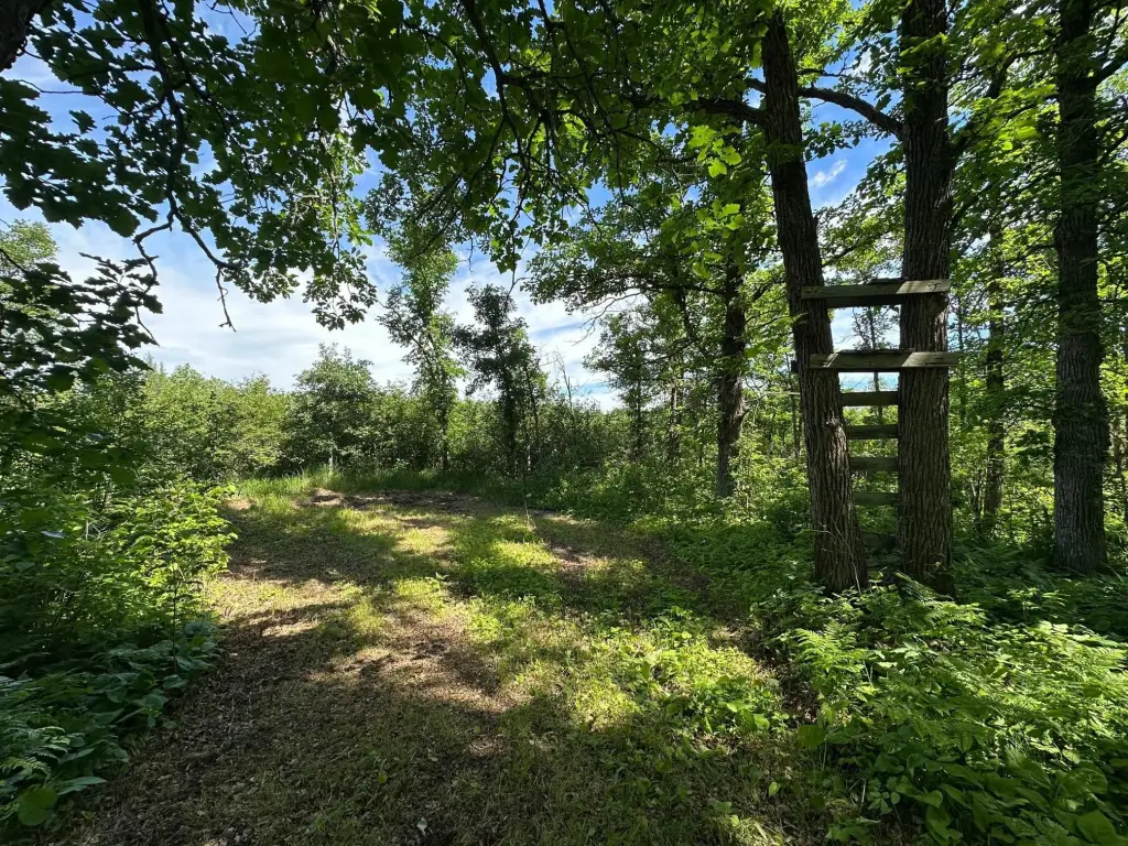 Picture 17