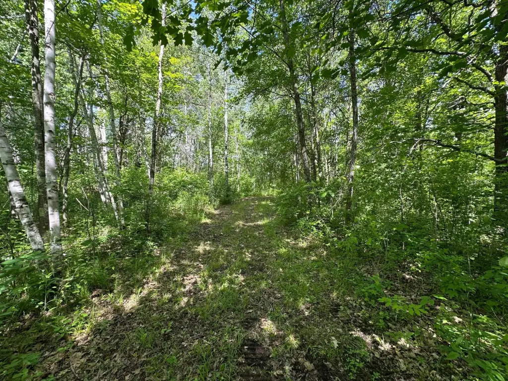 Picture 15