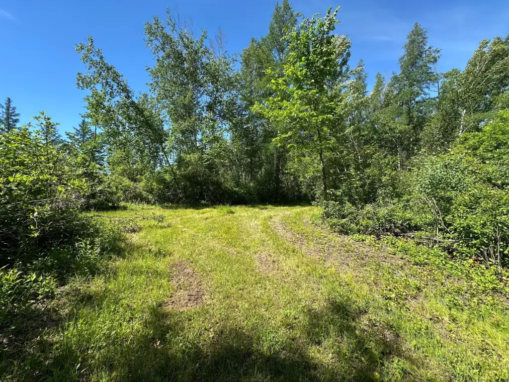 Picture 18