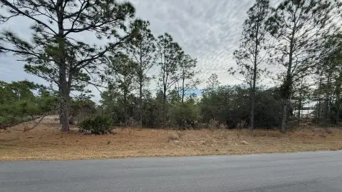 Vacant Land Near Rainbow Springs