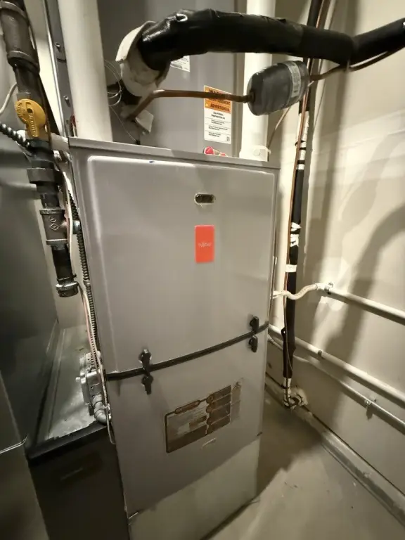 Picture 20