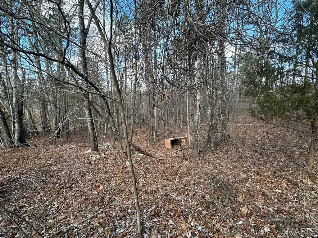 Picture 13
