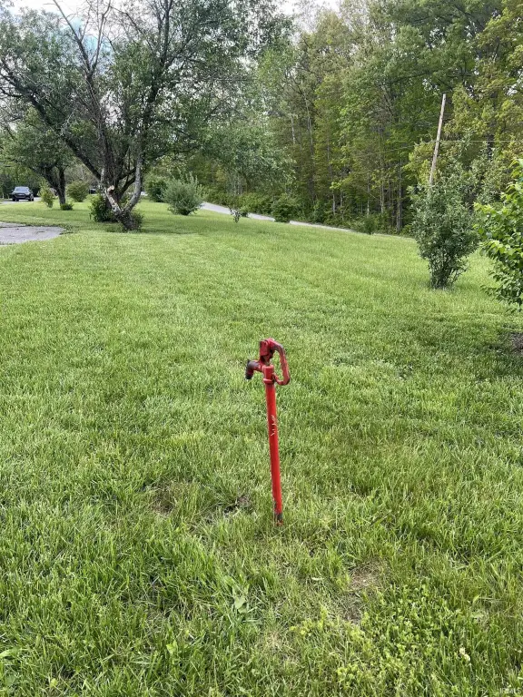 Picture 3