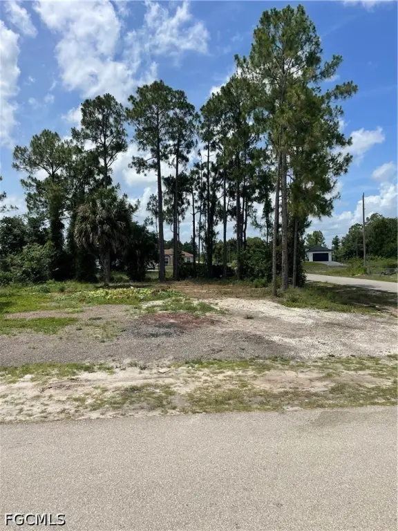 Picture 3
