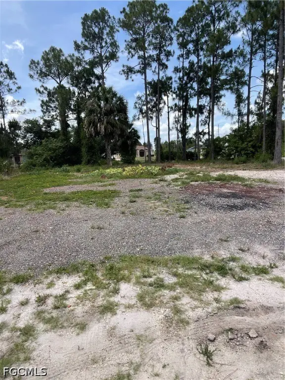 Picture 11