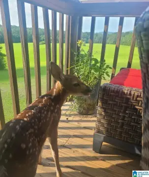 109 Acres Farm with Creeks