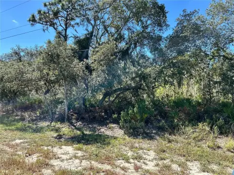 Vacant Land in Frostproof, FL