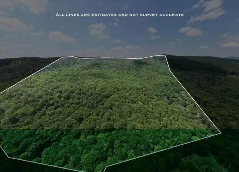 Mountain-Side Land with Timber