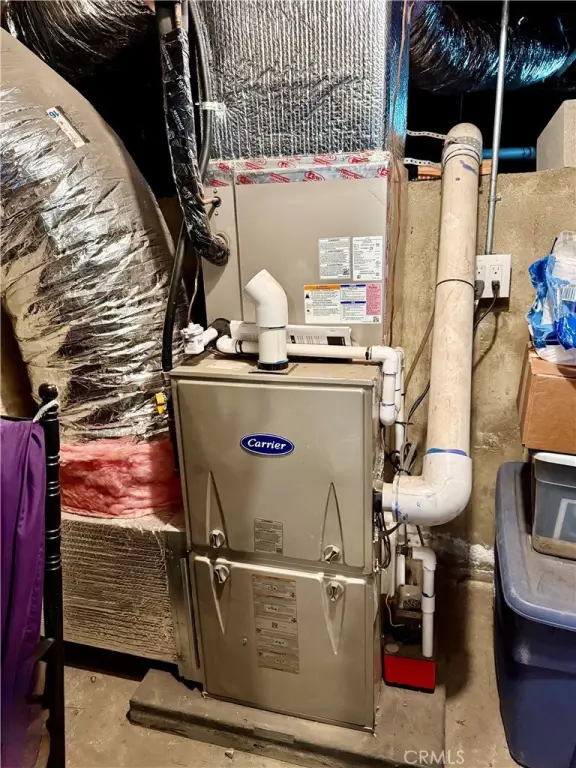 Picture 28