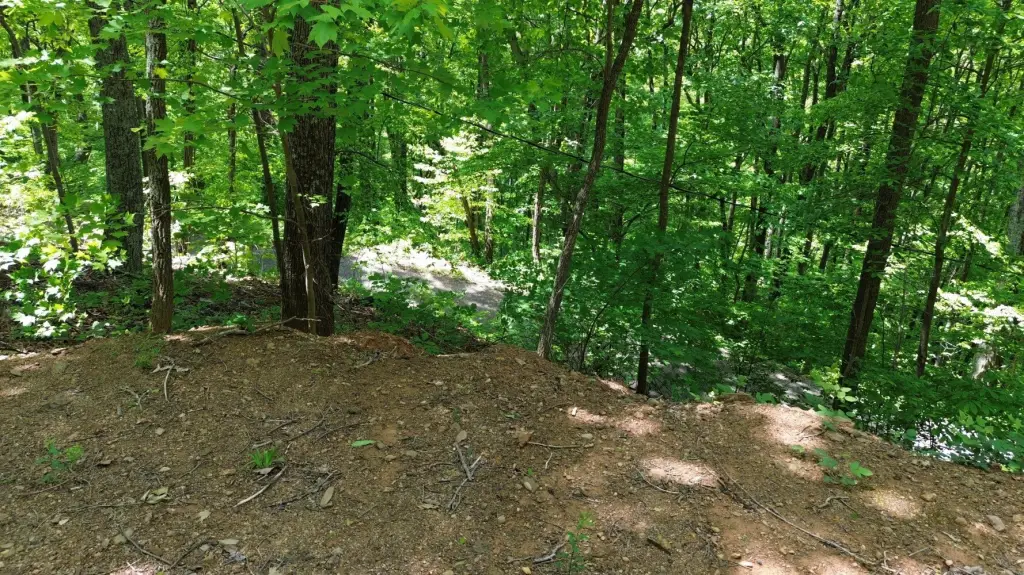 Picture 14