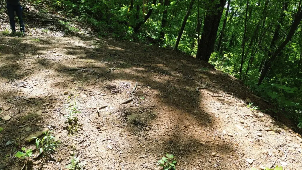 Picture 10