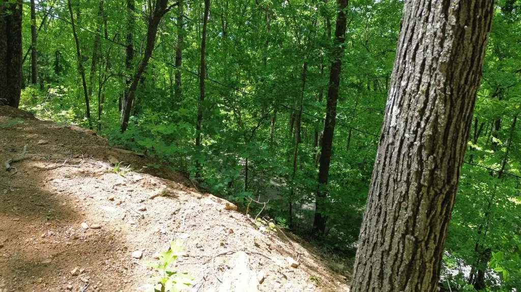 Picture 9