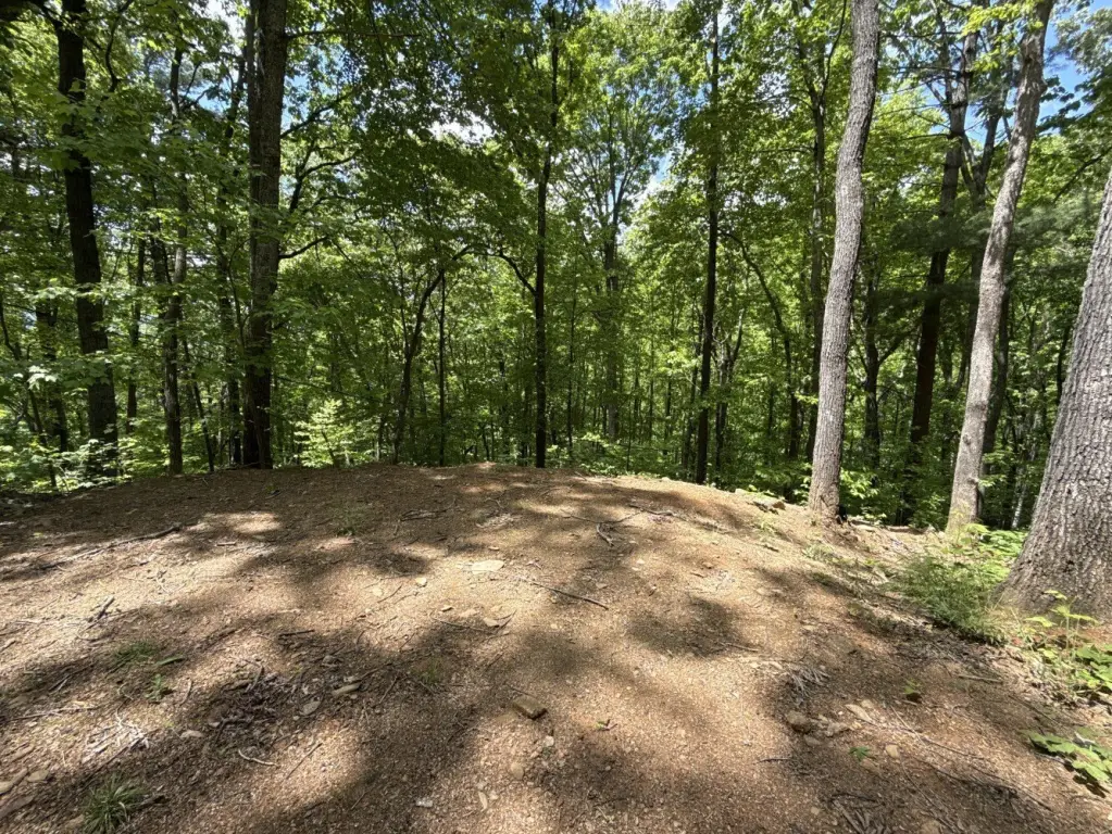 Picture 19