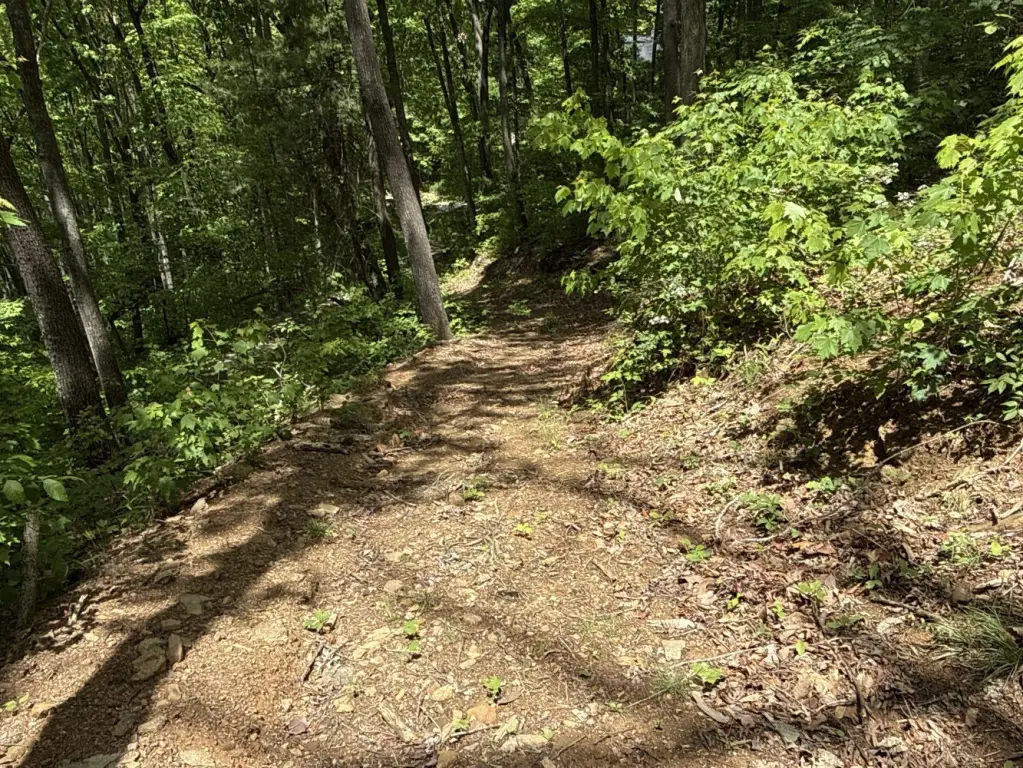 Picture 20