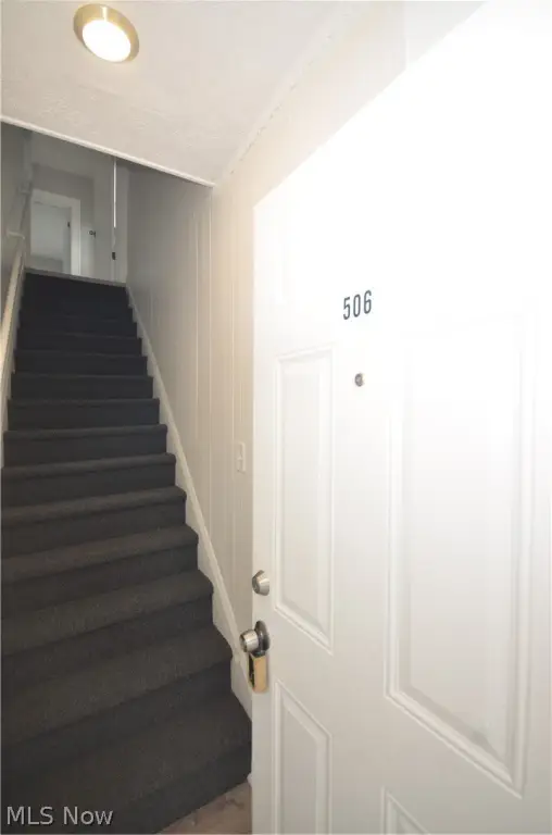 Picture 33