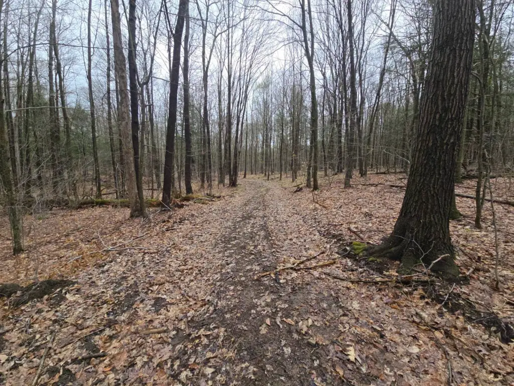 Picture 19