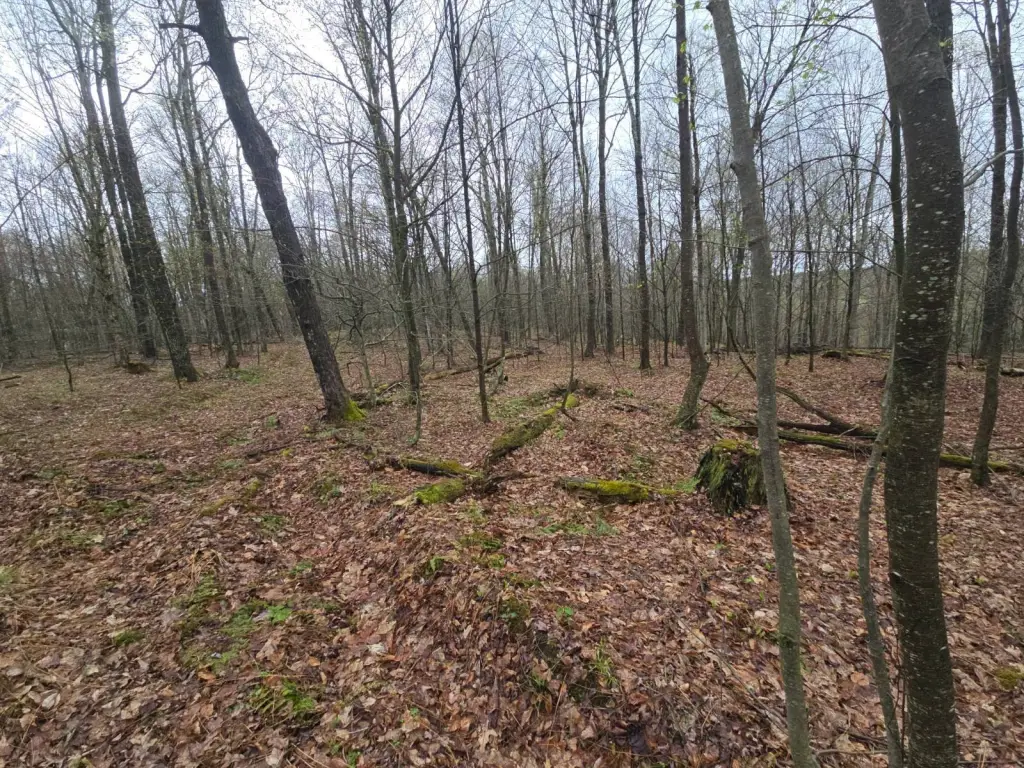 Picture 18