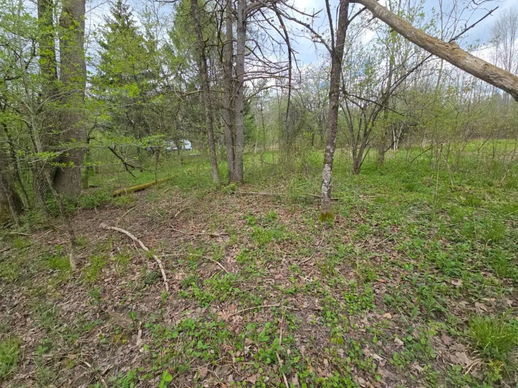 Picture 23
