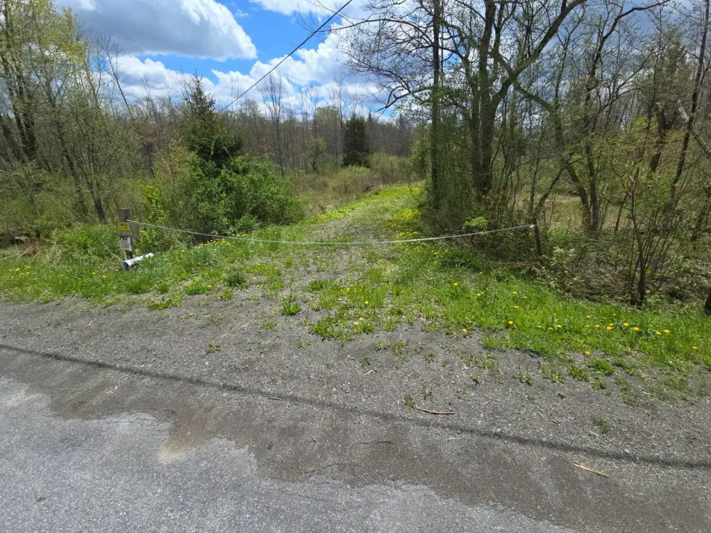 Picture 4