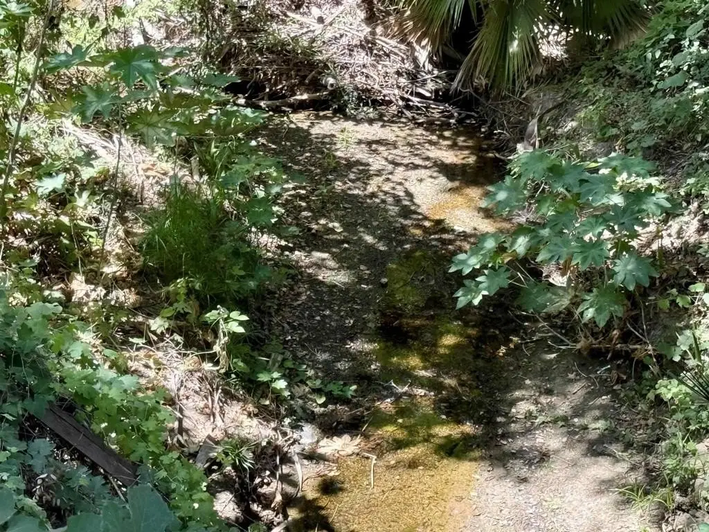 Picture 9