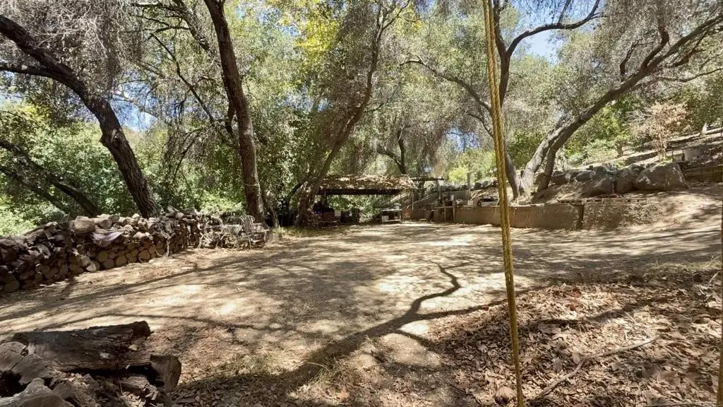 Picture 17