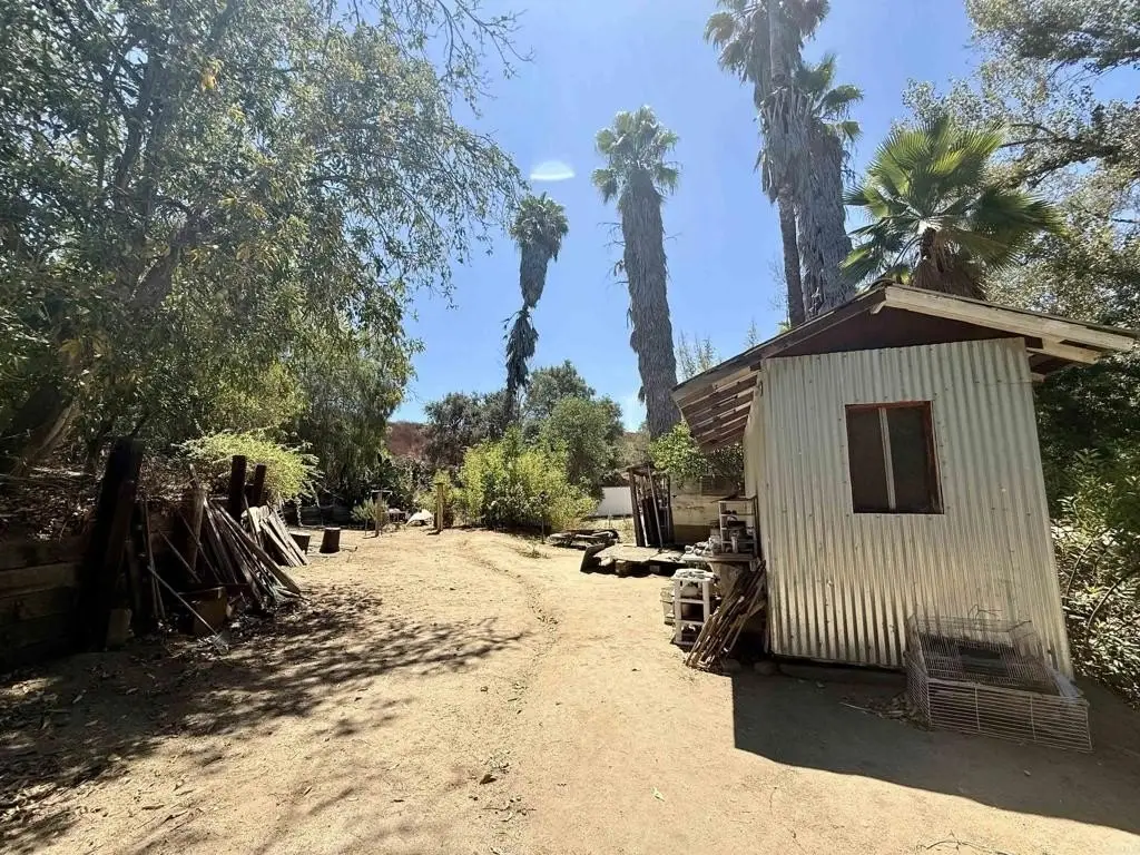 Picture 28