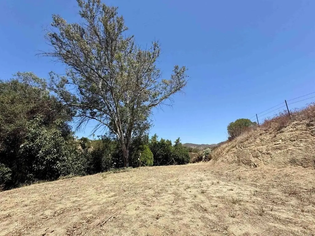 Picture 22