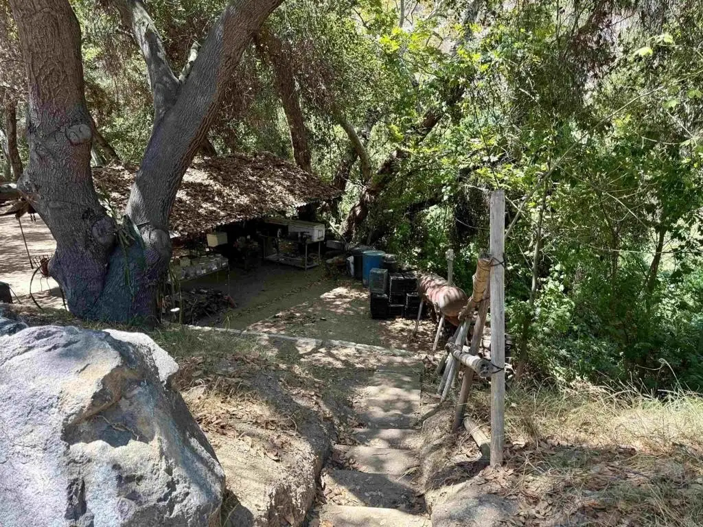 Picture 19