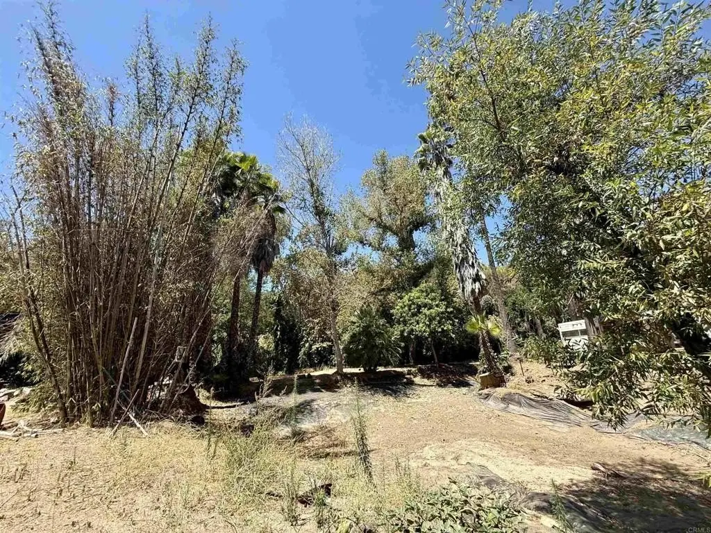 Picture 27