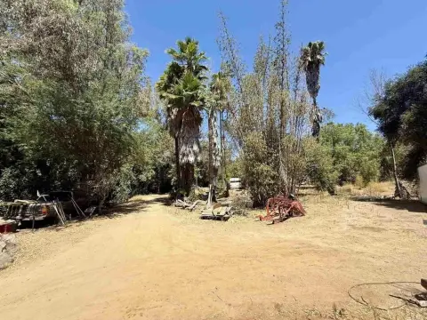Irrigated Agricultural Land