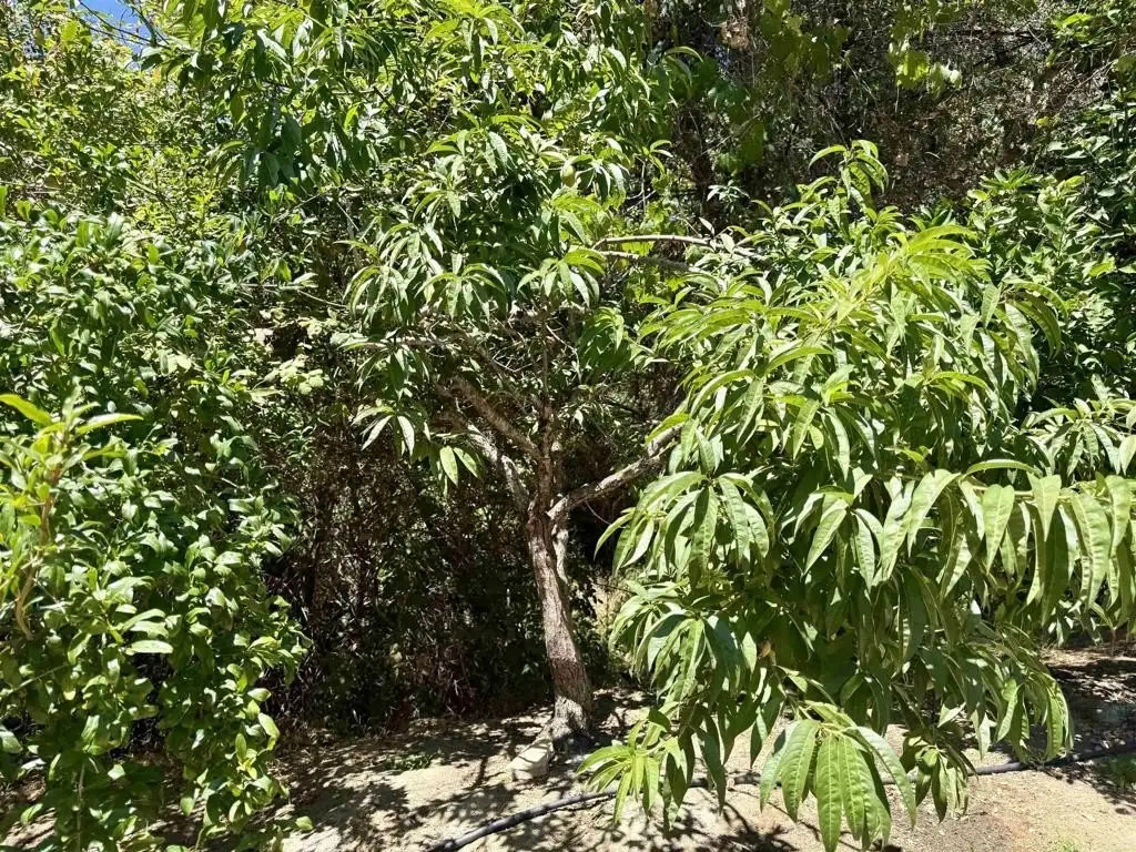 Picture 40