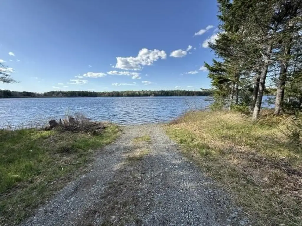 Picture 21