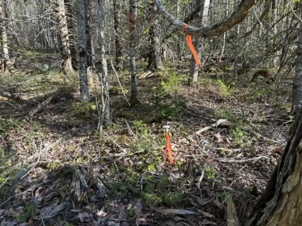 Picture 9