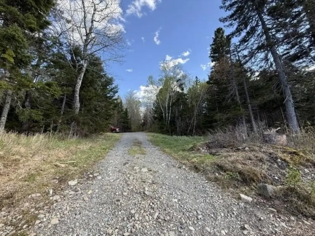 Picture 22