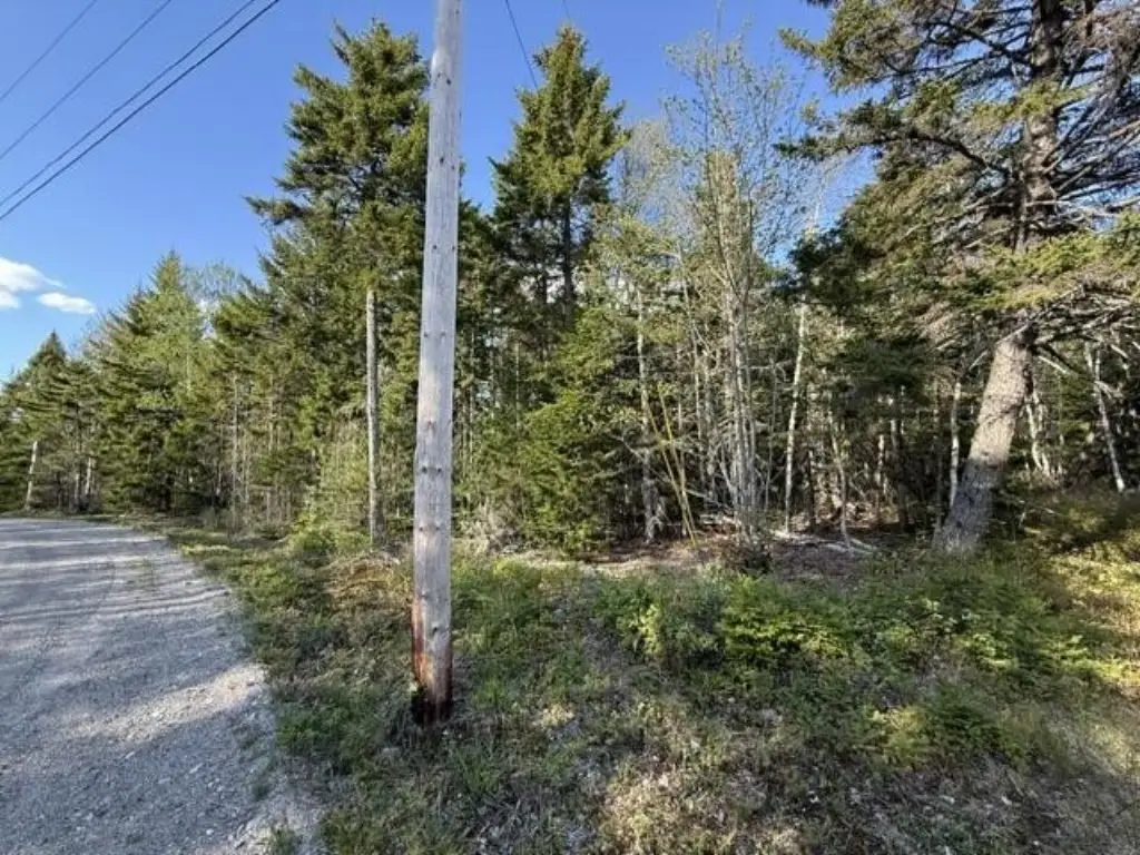 Picture 18