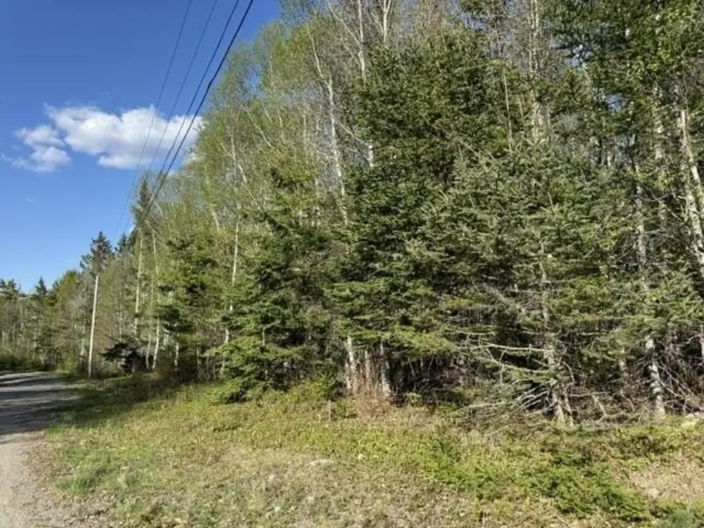 Picture 17
