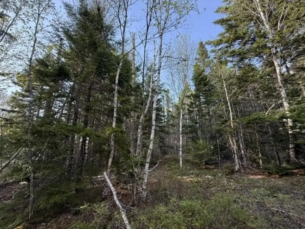 Picture 15