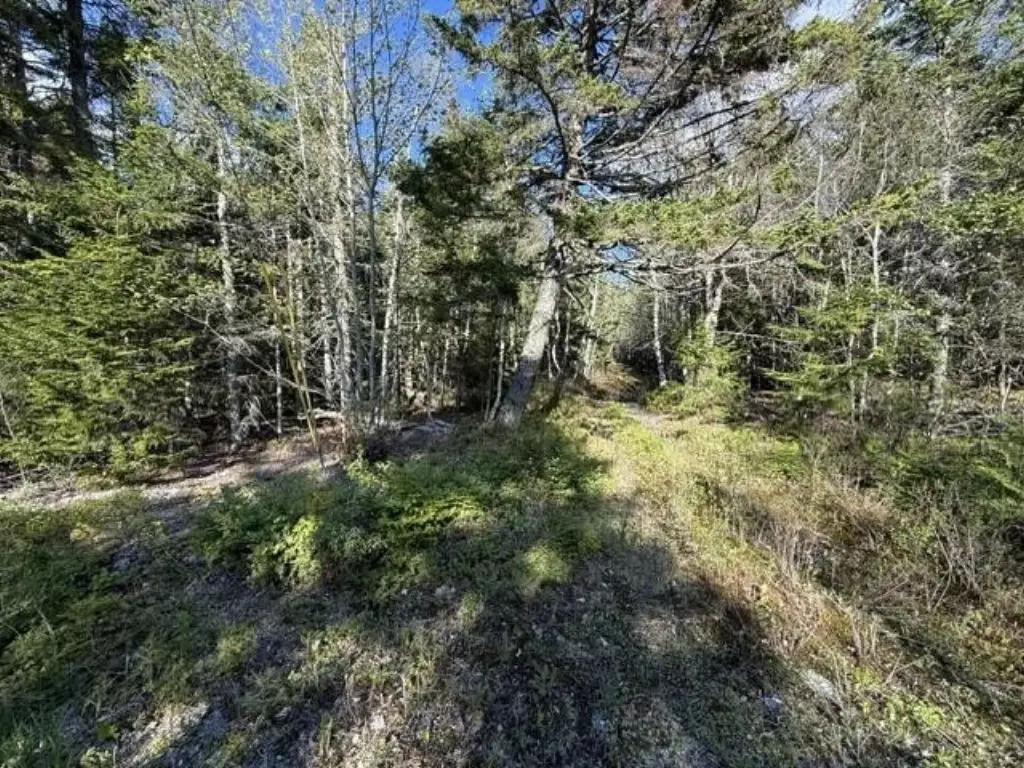 Picture 10