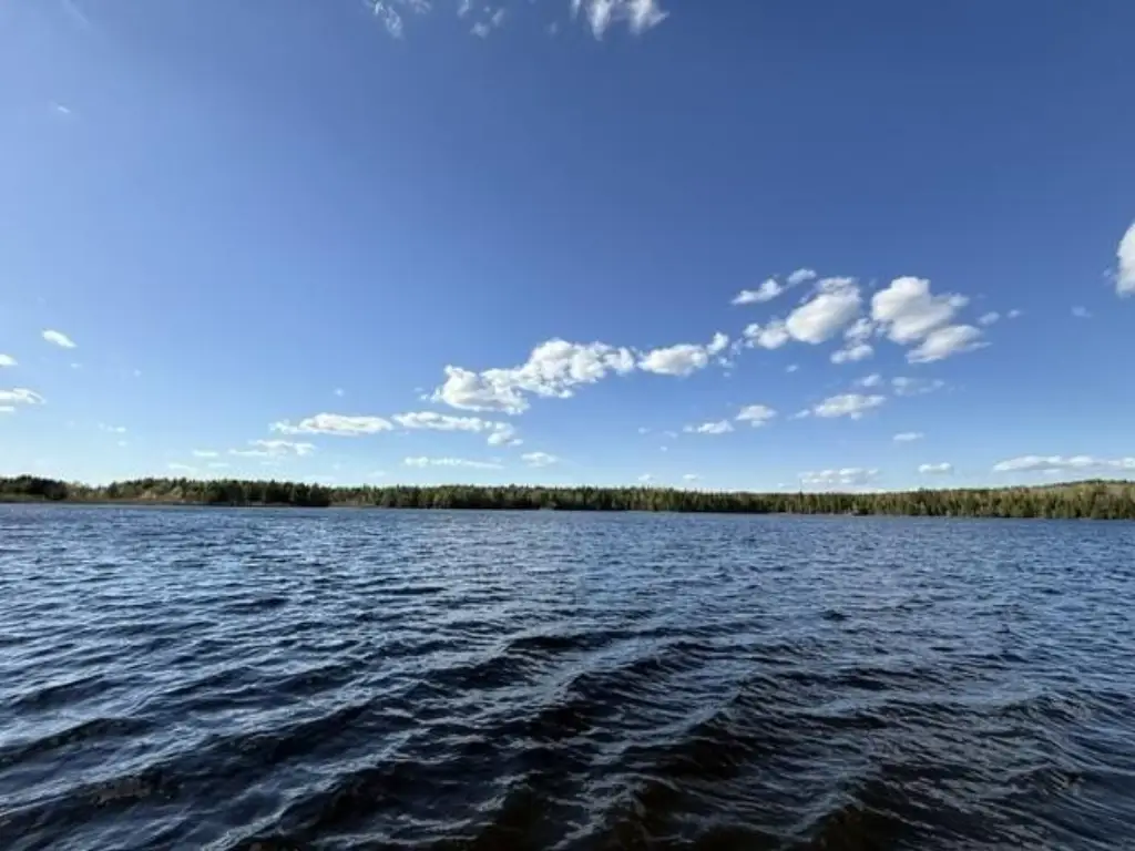 Picture 24
