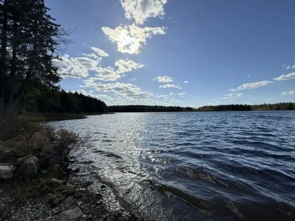 Picture 23