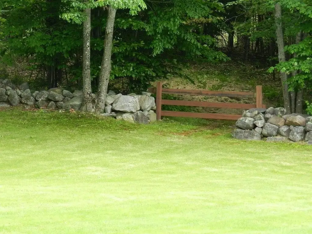 Picture 47